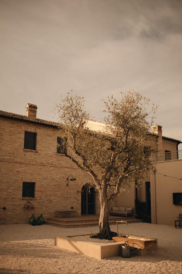 Bed and Breakfast Casale Tre Gelsi Cingoli Zewnętrze zdjęcie